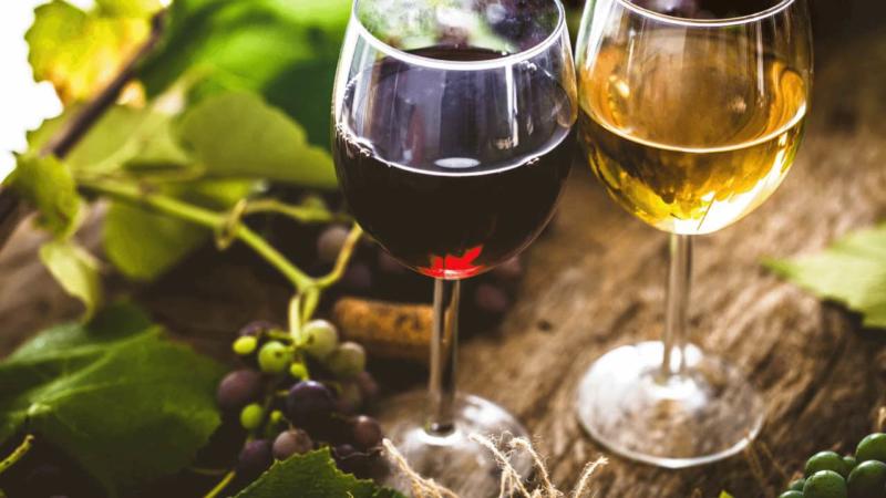 The Best Way to Store Your Wine – From Humidity to Temperature
