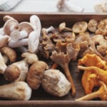 How Mushrooms are graded