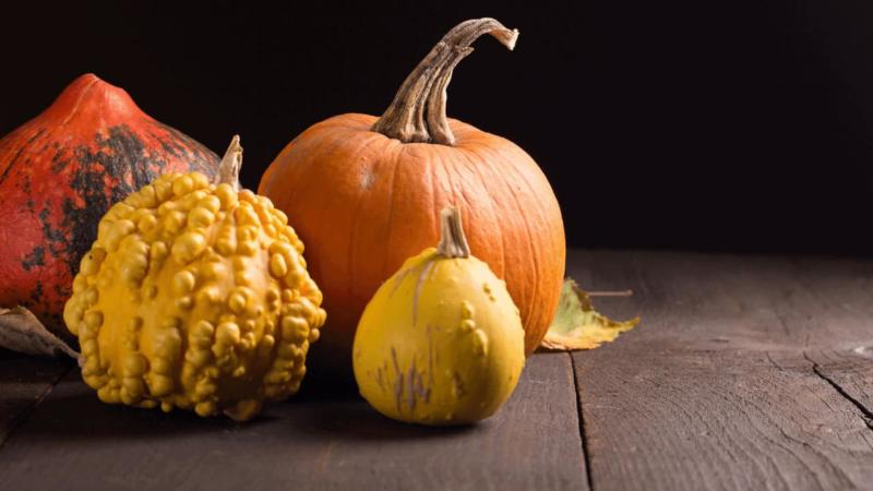 How To Freeze Pumpkin – #1 Best Tips
