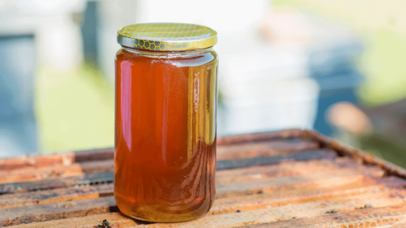 What Gallberry Honey Is – All You Need to Know!