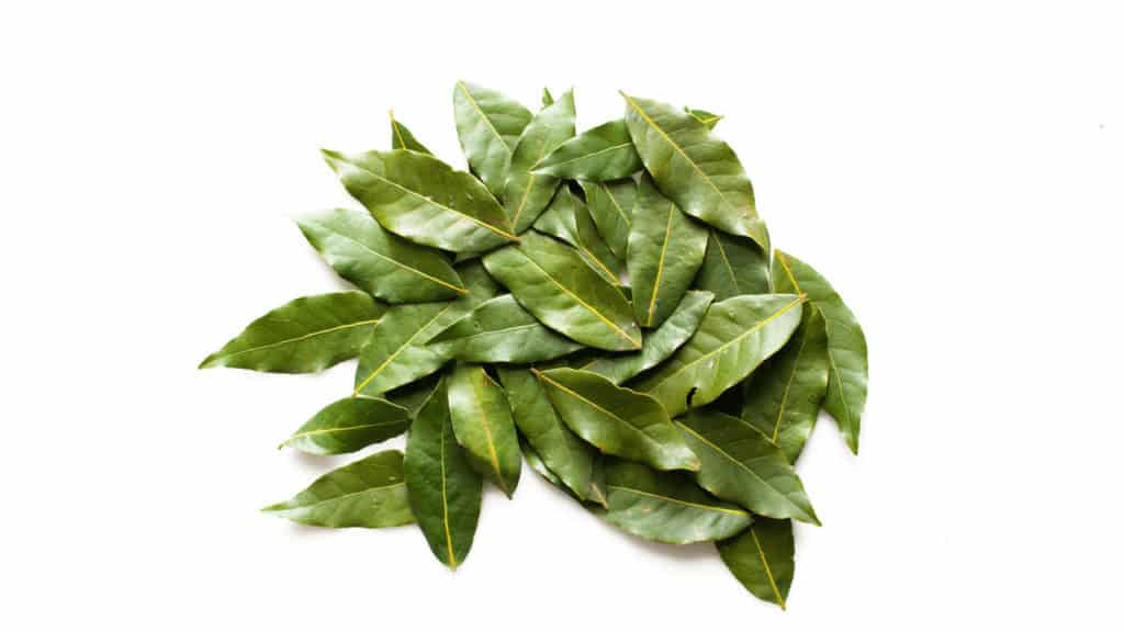Are Turkish Bay Leaves Normal Bay Leaves