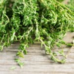 Sprig of Thyme