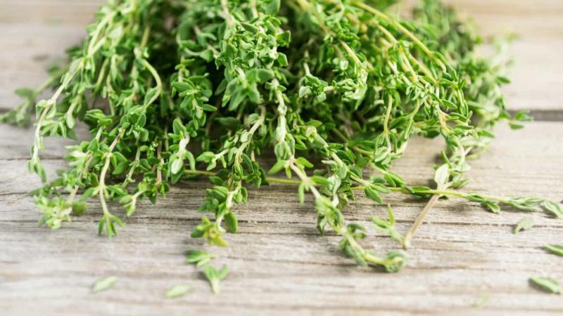 Sprig of Thyme Dry Substitute Ratio – That’s It!