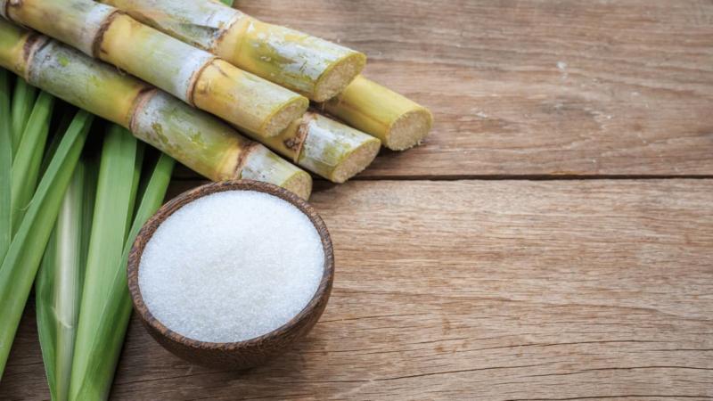Sugar Cane How to Eat – 5 Different Methods!