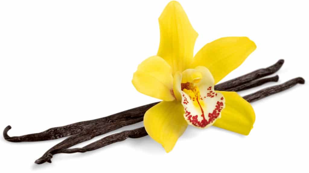 The Difference Between Vanilla and Mexican Vanilla