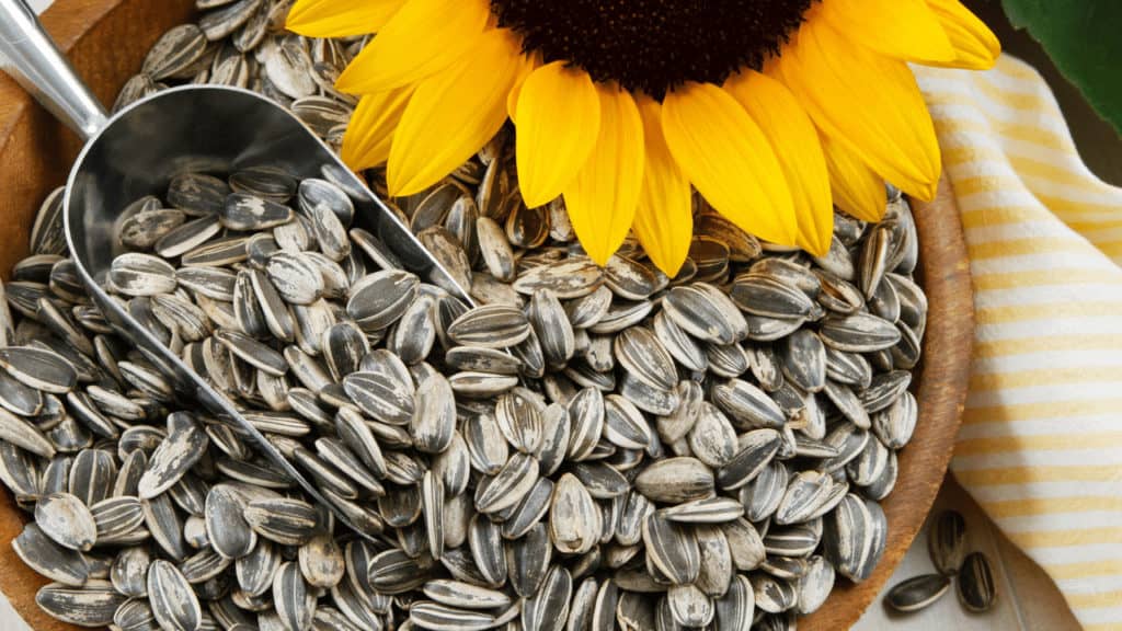 How Long Do Sunflower Seeds Last