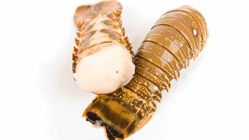 How To Freeze Lobster Tail – Preserving The Flavors!