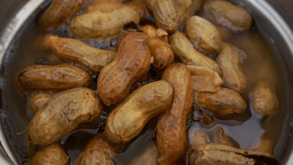 How To Reheat Boiled Peanuts