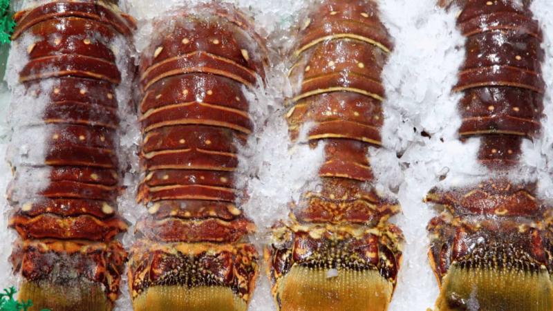 How To Tell If Frozen Lobster Is Bad – Better Safe Than Sorry!
