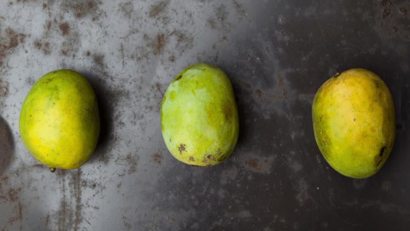 Mango Dark Inside  – Can You Still Eat It?