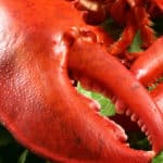 How To Cook Pre-Cooked Frozen Lobster Claws