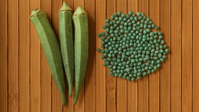 What to Do with Okra That is Too Big – The Answer!