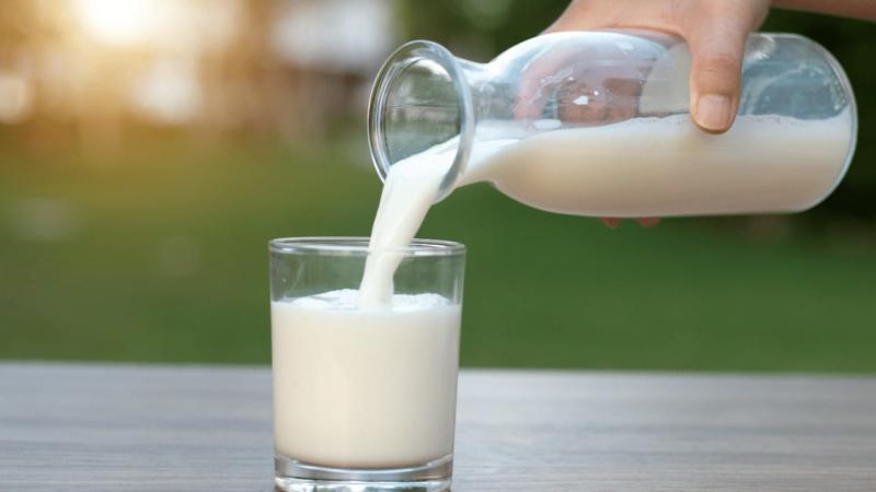 How Long Does it Take for Milk to Spoil? Read This!  