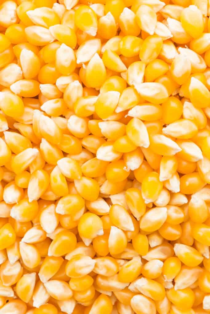 Corn can smell like vinegar because the corn Is fermenting