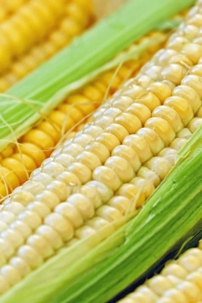 Corn can smell like vinegar because the corn has spoiled