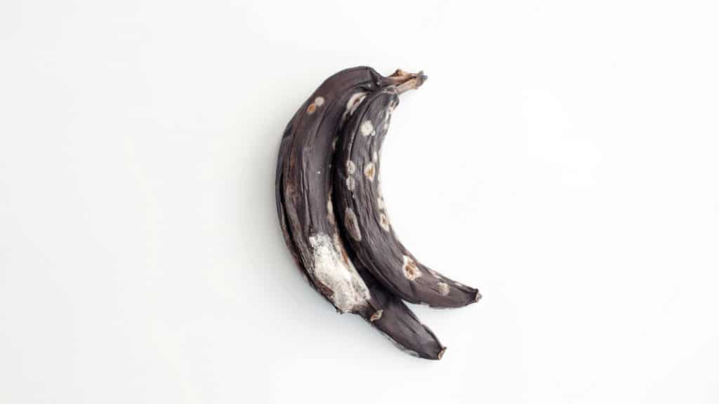Moldy Bananas