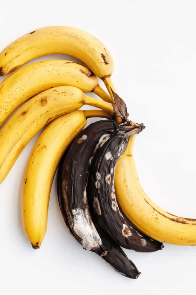 Spoiled bananas develop mold and will feel mushy