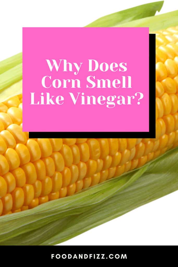 Why Does Corn Smell Like Vinegar?