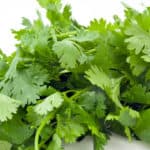 How Much Is a Bunch of Cilantro?