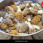 How Long Can You Leave Morels In Water?