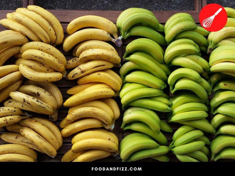 A bunch of bananas can contain between three to twenty hands.