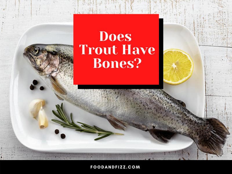 Does Trout Have Bones?