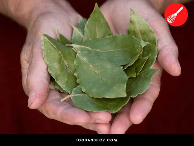 How Many Bay Leaves in a Pound? #1 Best Answer
