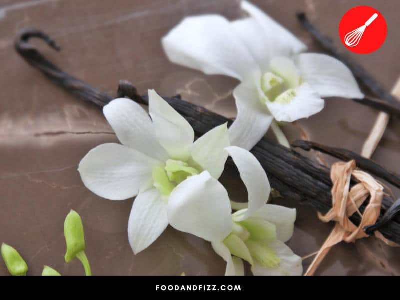 The orchid plant that produces vanilla was first cultivated by Meso-American peoples like the Totonacs and the Aztecs, and was later on brought to Europe by a Spanish conqueror.