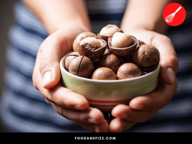 What Do Macadamia Nuts Taste Like?