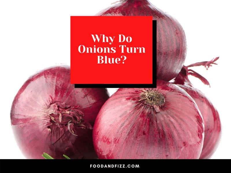 Why Do Onions Turn Blue?