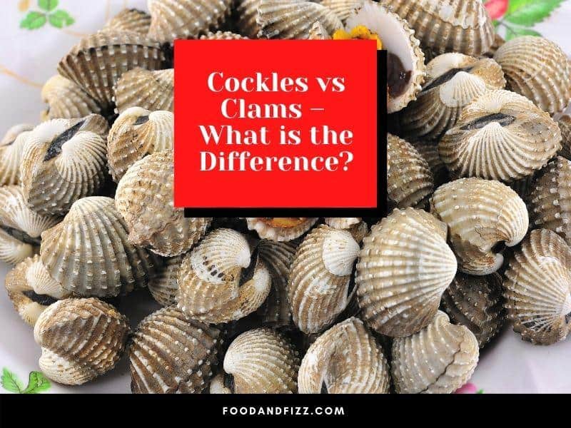 Cockles vs Clams – What is the Difference?
